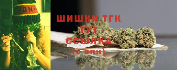 гашик Заводоуковск