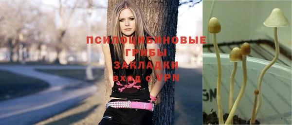 шишки Заволжск