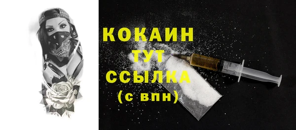 шишки Заволжск