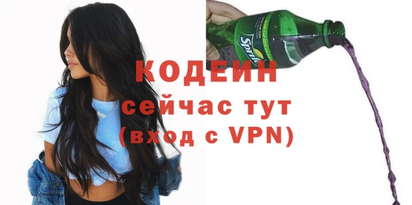 шишки Заволжск
