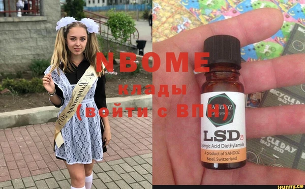шишки Заволжск